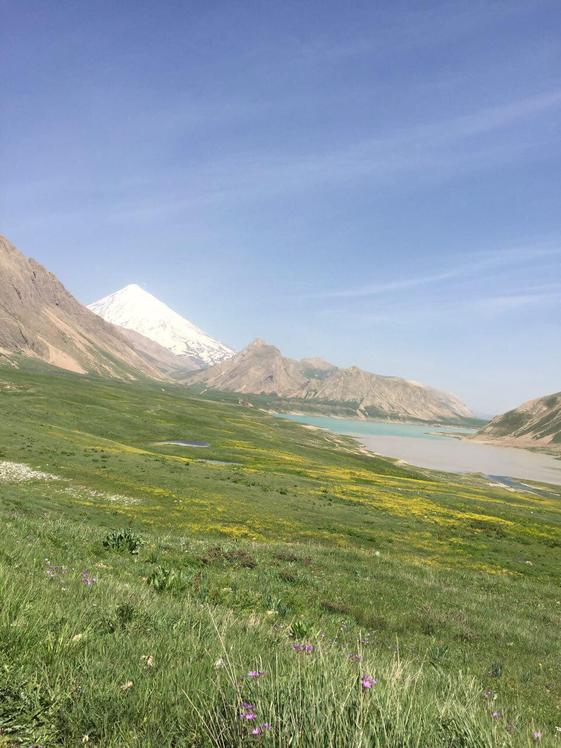 Naser Ramezani: Laar Protected Area, Damavand (دماوند)