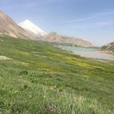 Naser Ramezani: Laar Protected Area, Damavand (دماوند)