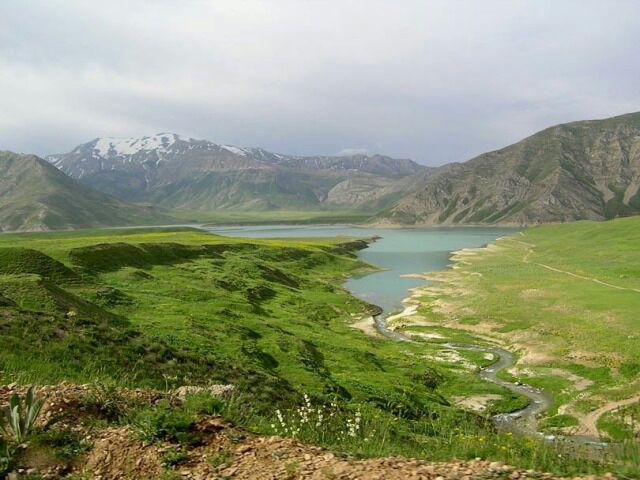 Naser Ramezani: Laar Protected Area, Damavand (دماوند)