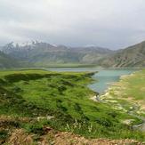 Naser Ramezani: Laar Protected Area, Damavand (دماوند)
