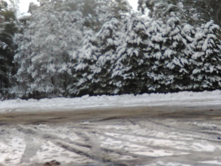 Snowfall 25 June 2016, Mount Donna Buang