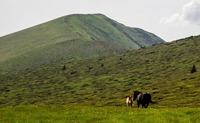 Kom peak photo