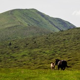 Kom peak