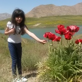 naser ramezani laar protected area, Damavand (دماوند)