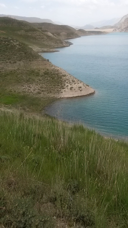 naser ramezani laar protected area, Damavand (دماوند)