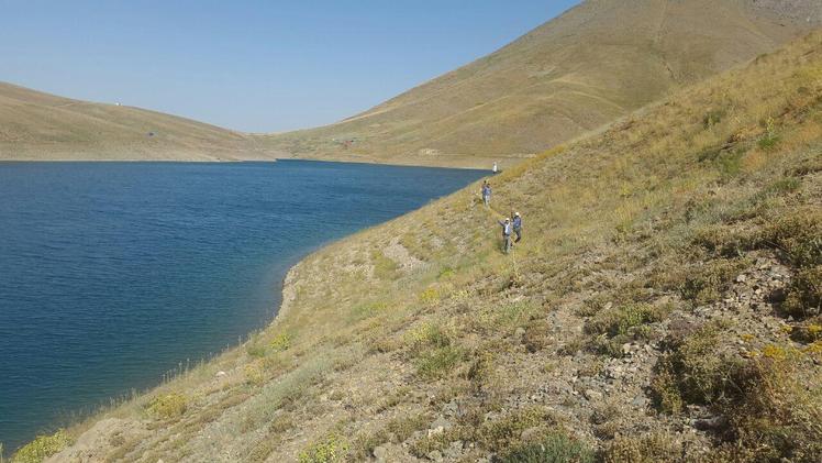 naser ramezani taar lake, Damavand (دماوند)