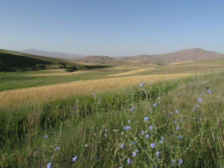 Naser Ramezani Mount Belgheys, تخت سلیمان