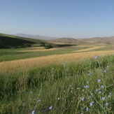 Naser Ramezani Mount Belgheys, تخت سلیمان