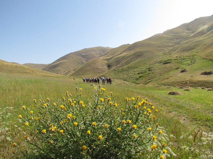 Naser Ramezani Mount Belgheys, تخت سلیمان