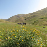 Naser Ramezani Mount Belgheys, تخت سلیمان