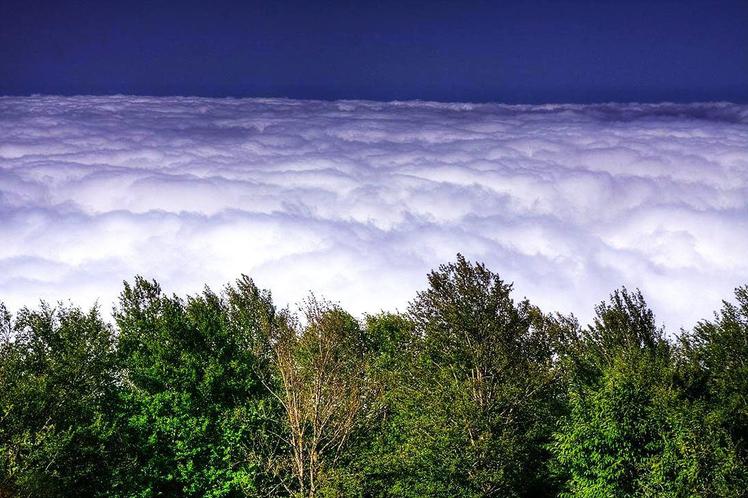 naser ramezani cloudy forest