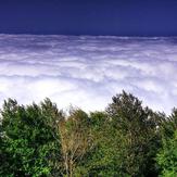 naser ramezani cloudy forest