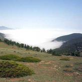 naser ramezani cloudy forest