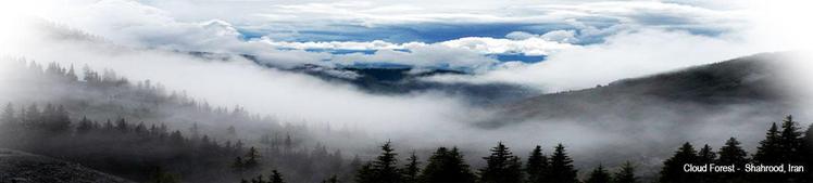 naser ramezani cloudy forest