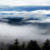 naser ramezani cloudy forest