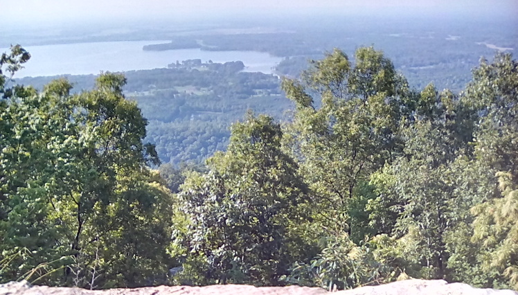 Driskill Mountain weather