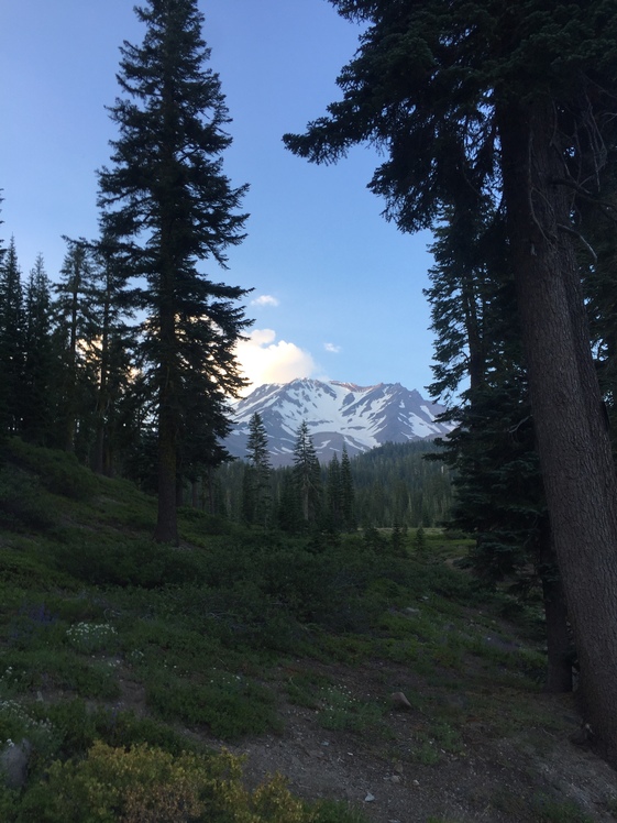 Mount Shasta