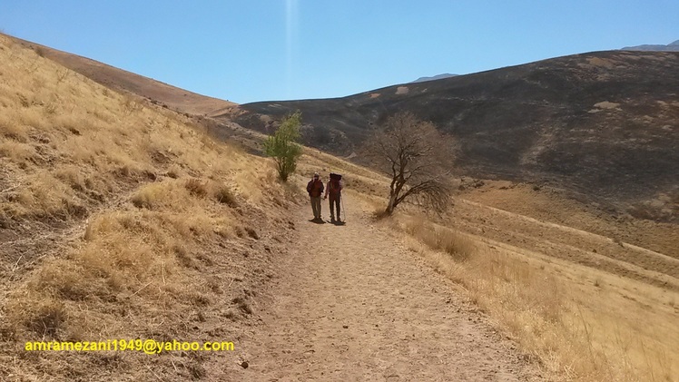 Naser Ramezani: Gahar Lake, سن بران