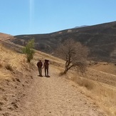 Naser Ramezani: Gahar Lake, سن بران