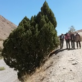 Naser Ramezani: Gahar Lake, سن بران