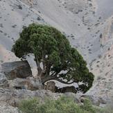 Naser Ramezani: Gahar Lake, سن بران