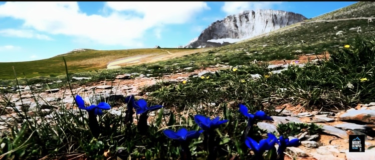 Mt Olympus Hellas, Mount Olympus