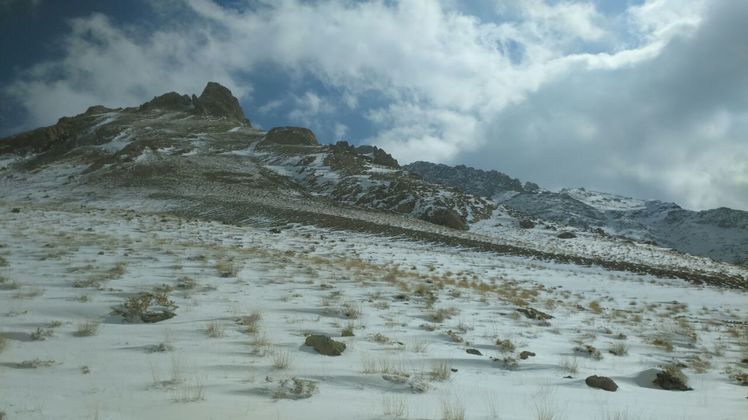 naser ramezani mount janeston, Borj