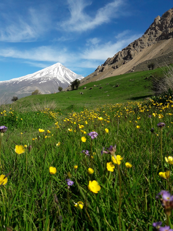 Damavand (دماوند)