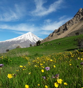 Damavand (دماوند)