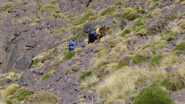 Toubkal