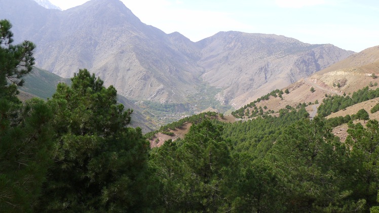 Toubkal Trekking Summit