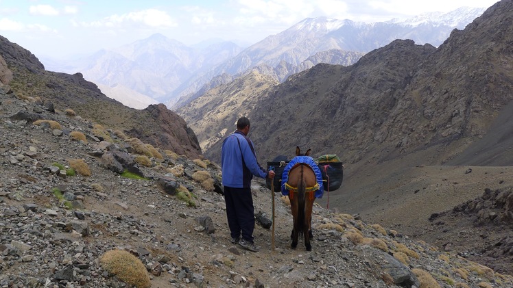 Toubkal Trekking Summit