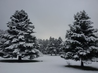 arvanitsa, Mount Helicon photo