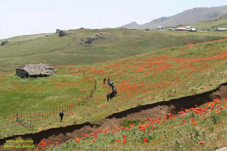 naser ramezani Sabalan, سبلان