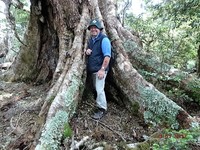 Mount Ross photo