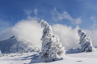 view to the peak, Snezka or Sněžka photo