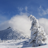 view to the peak, Snezka or Sněžka