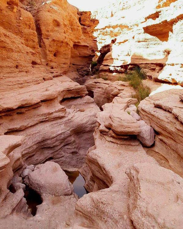 naser ramezani Tabas gen valley, Mount Binalud