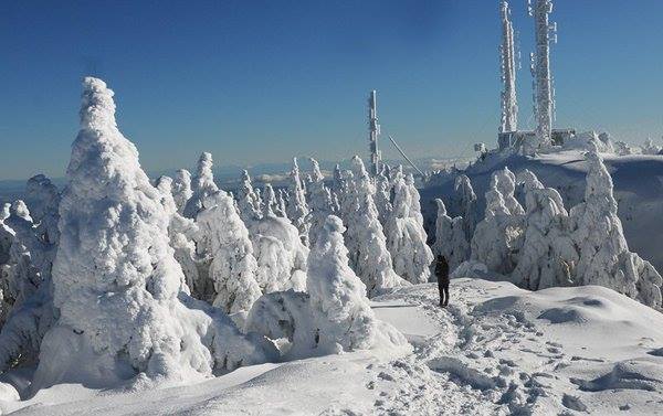 Benson Summit, Mount Benson (British Columbia)