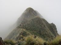 Heading to Hector on Neil Winchcombe Ridge, Mount Hector photo