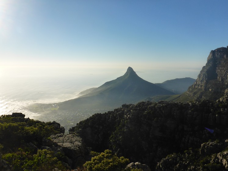 Lion's Head