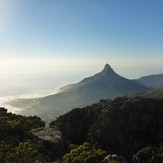 Lion's Head