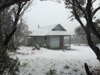 Mount Feathertop photo