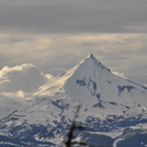 Mt. Jefferson from Black Butte