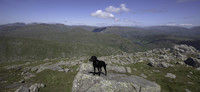 Finn., Wetherlam photo