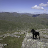 Finn., Wetherlam