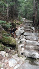 Stairs on the Mt Tecumseh trail photo