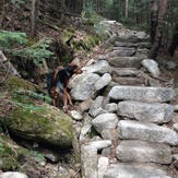 Stairs on the Mt Tecumseh trail