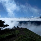 Spring hike on Dog Mountain