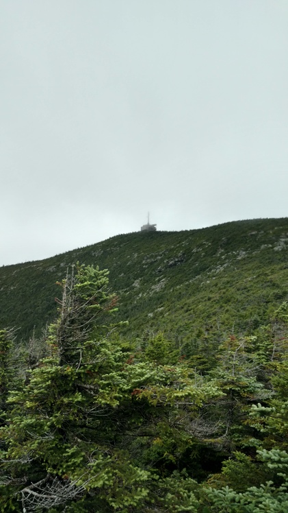 Cannon Summit from Kinsman Ridge Trail, Cannon Mountain (New Hampshire)